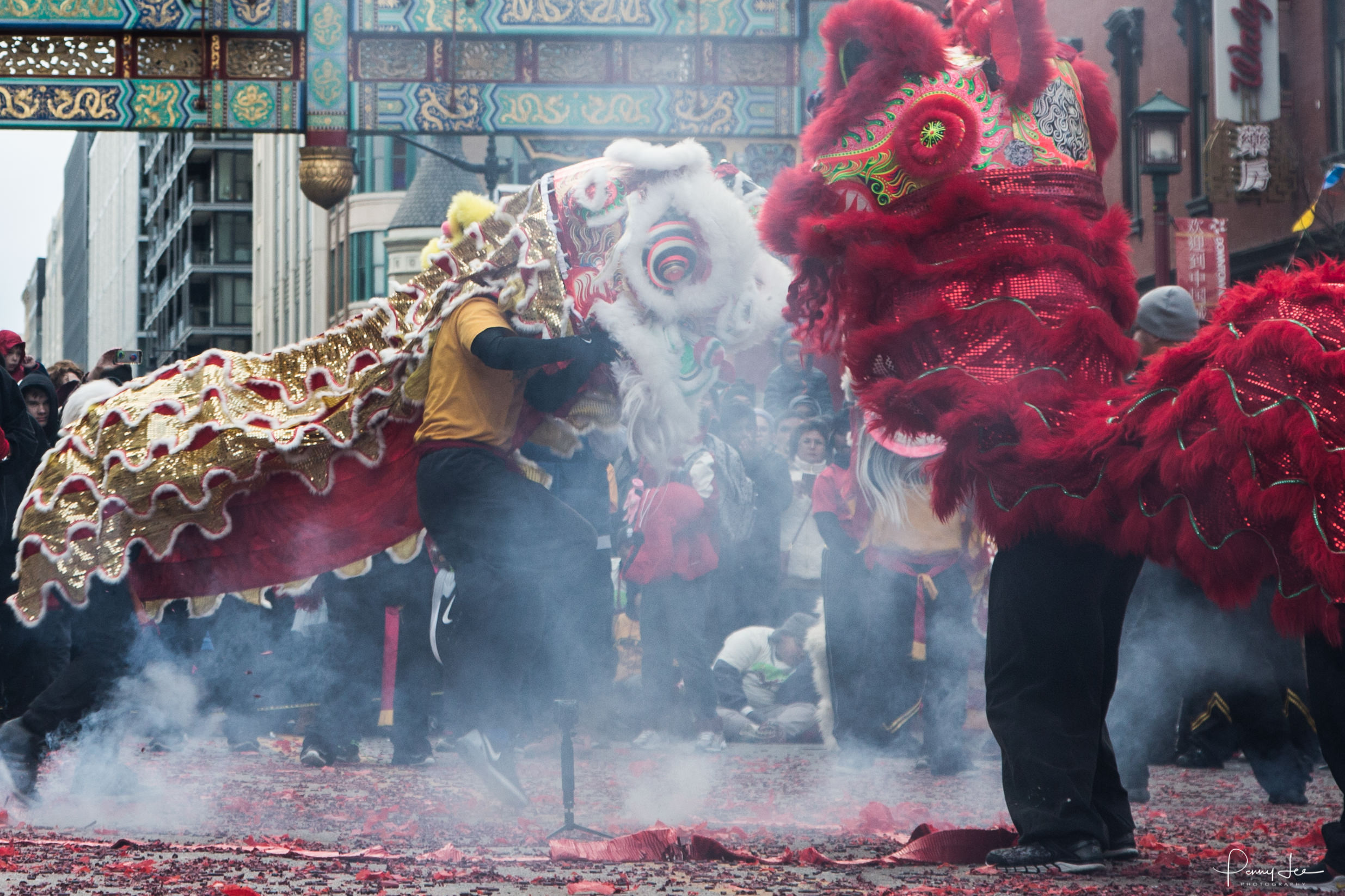 2019 DC Chinese New Year Parade in Chinatown, Washington DC2471 x 1647